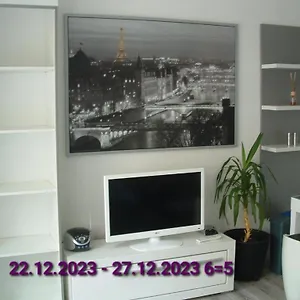 Nice Apartments Prague Prag